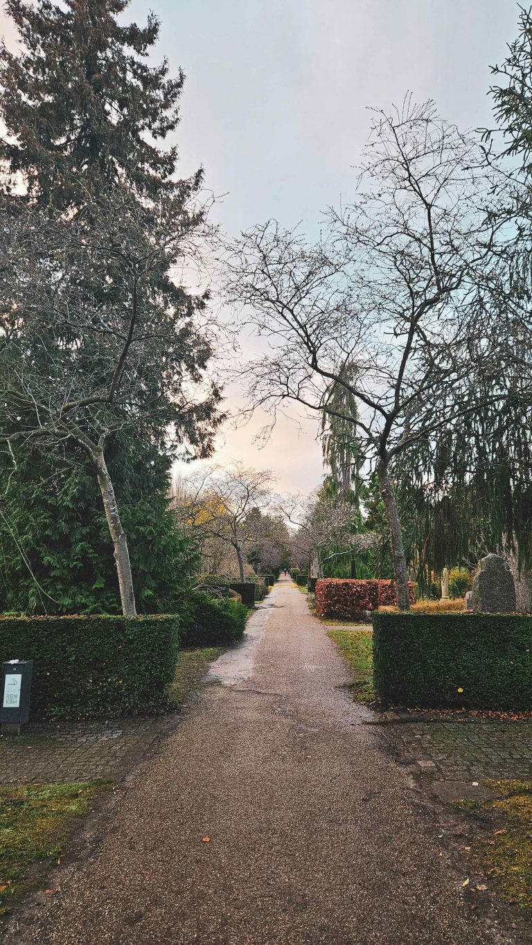 Jardin en décembre : que peut-on encore faire au potager et au jardin quand l’hiver s’installe ?