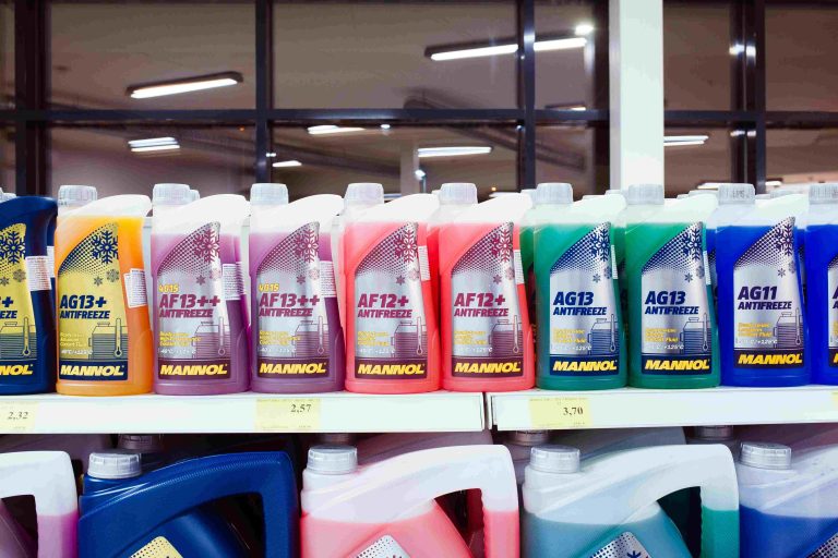 Antigel : le liquide sucré qui peut tuer votre chat (et pourquoi il ne faut surtout pas attendre les symptômes)
